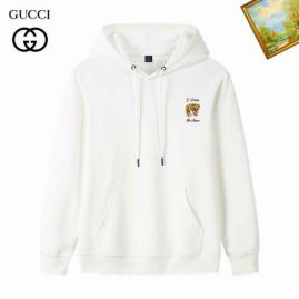 Picture of Gucci Hoodies _SKUGucciM-3XL25tn5410784